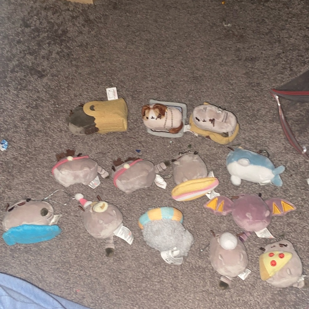 Huge Pusheen Keychain Lot